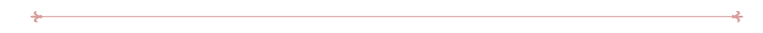 Horizontal red line divider