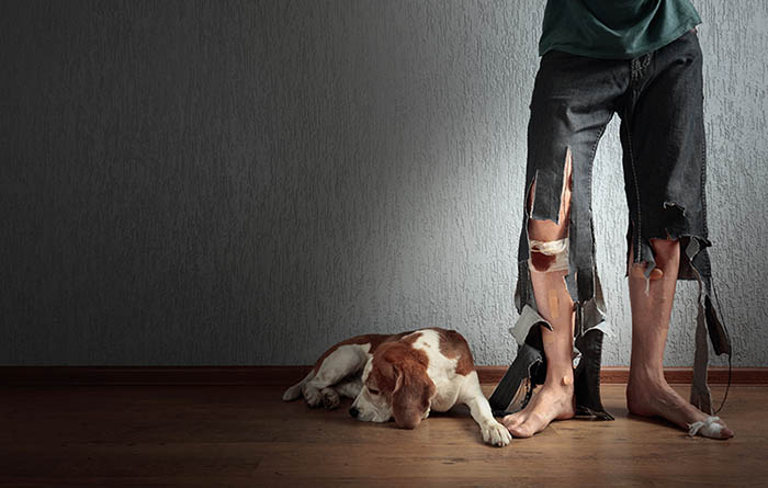 Dog sitting next to disappointed owner