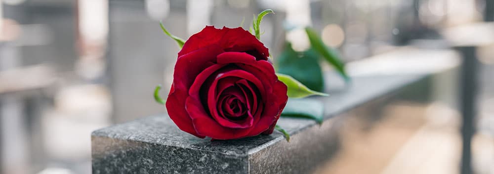 Rose sitting on grave stone after wrongful death