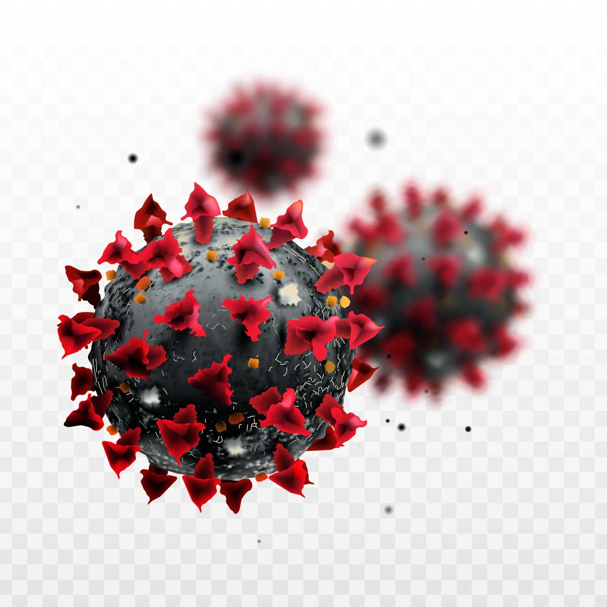covid-19 coronavirus de cerca