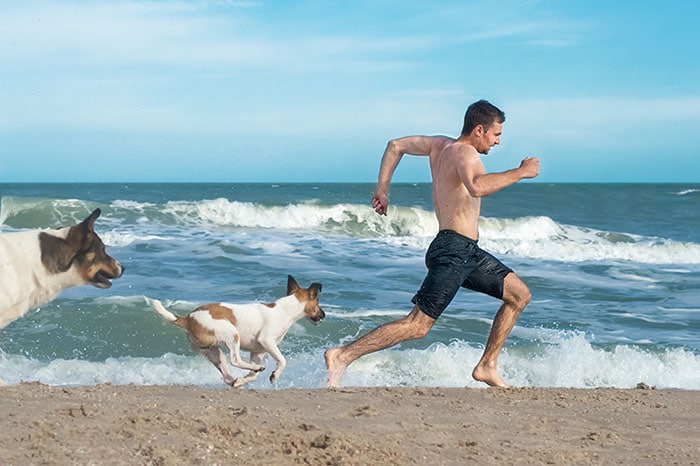 Man running from angry dogs on the beach