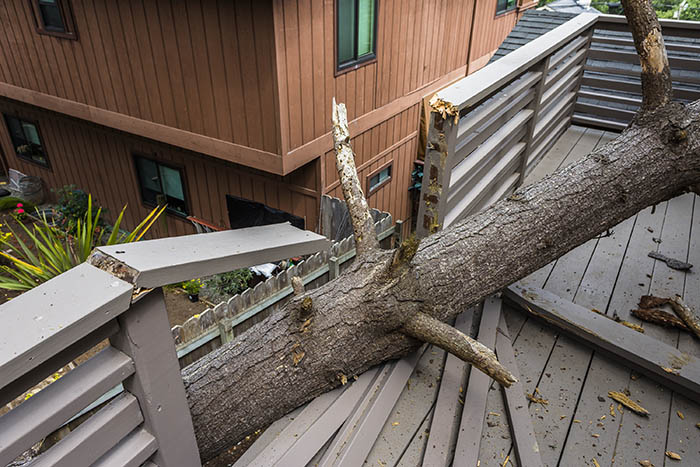 Tree falling on deck causing property damage