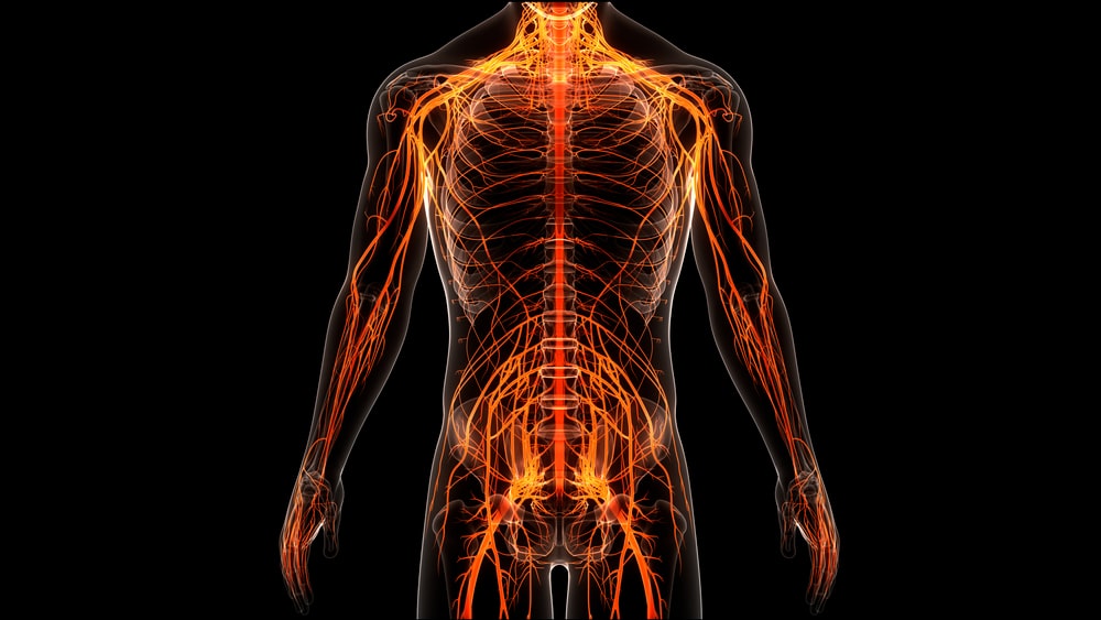 Doctor inspecting spinal cord injury of young woman