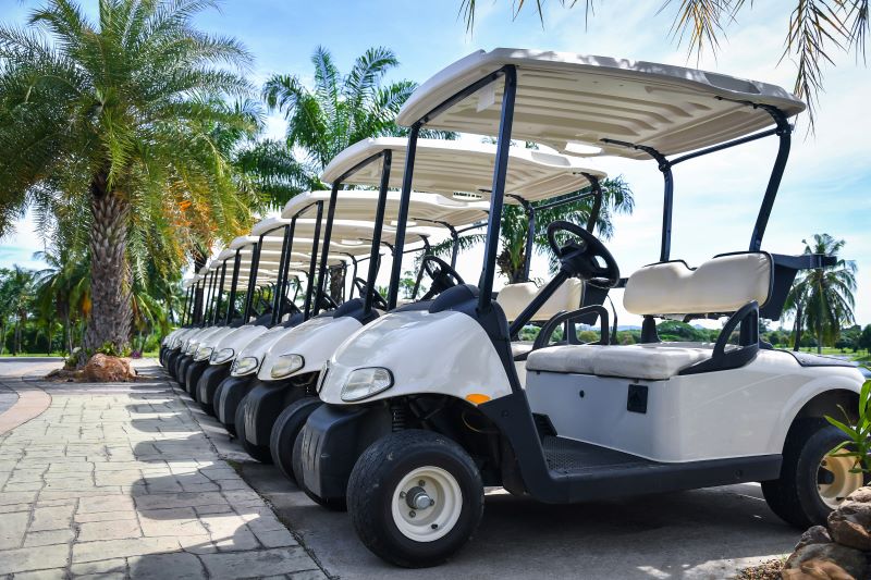 Row of parked golf carts