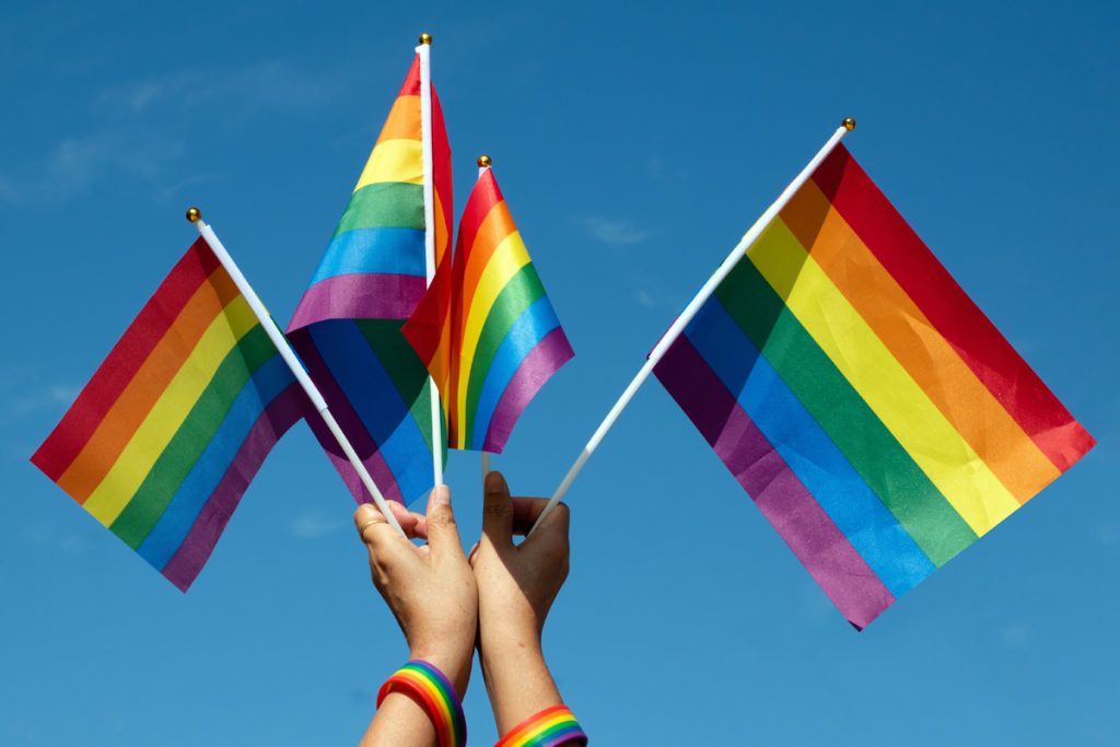 Person Holding up Rainbow Flags